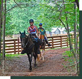 Horseback Riding | Best Small Towns In Georgia | Visit Georgia | Visit Madison GA