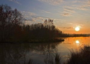 Sunset over the pond along the Forest Therapy Trail at Hundred Acre Farm | Georgia Attractions | Things to Do in Madison Georgia | Visit Madison GA